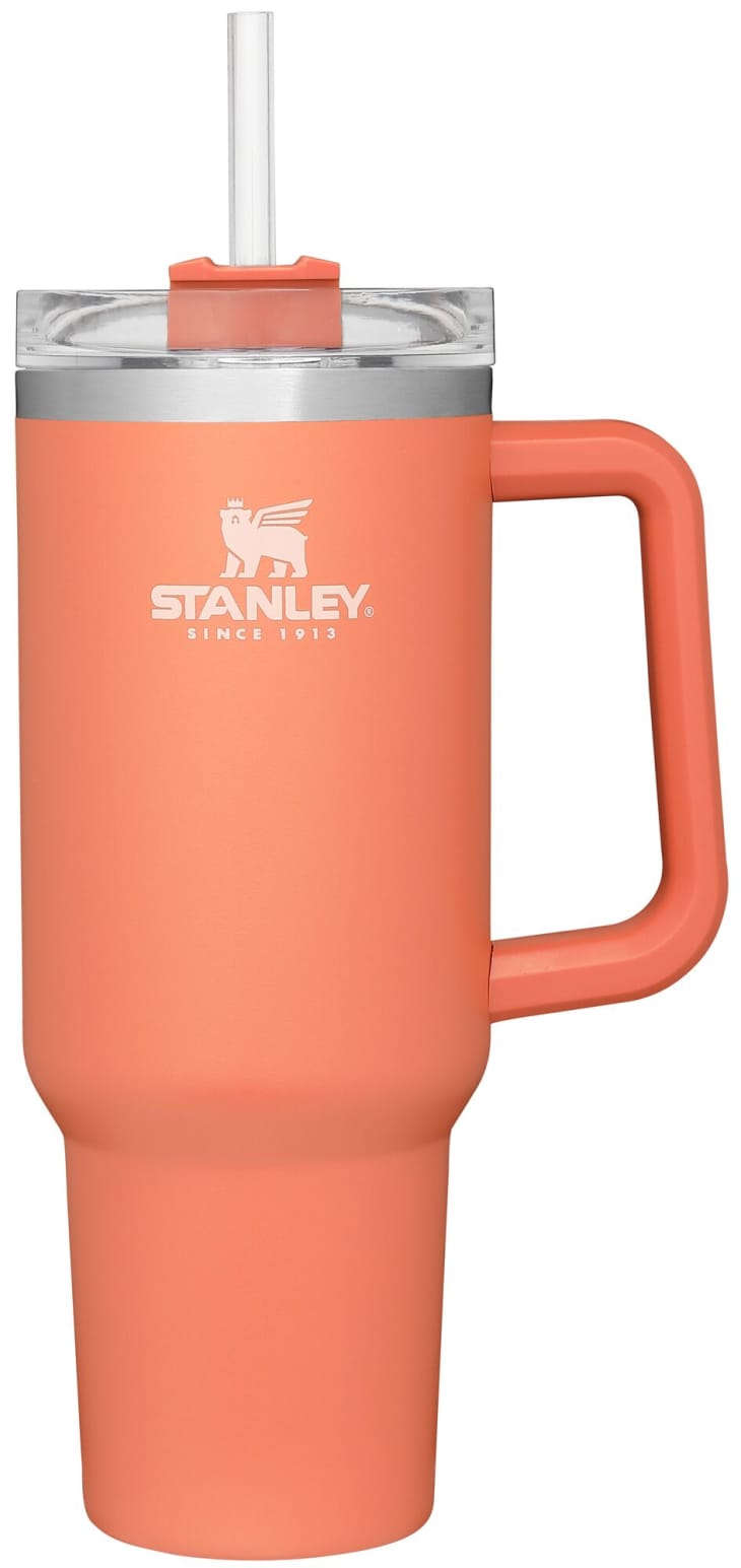 This Stanley Adventure Quencher Restock Includes New Spring Colors The Kitchn 